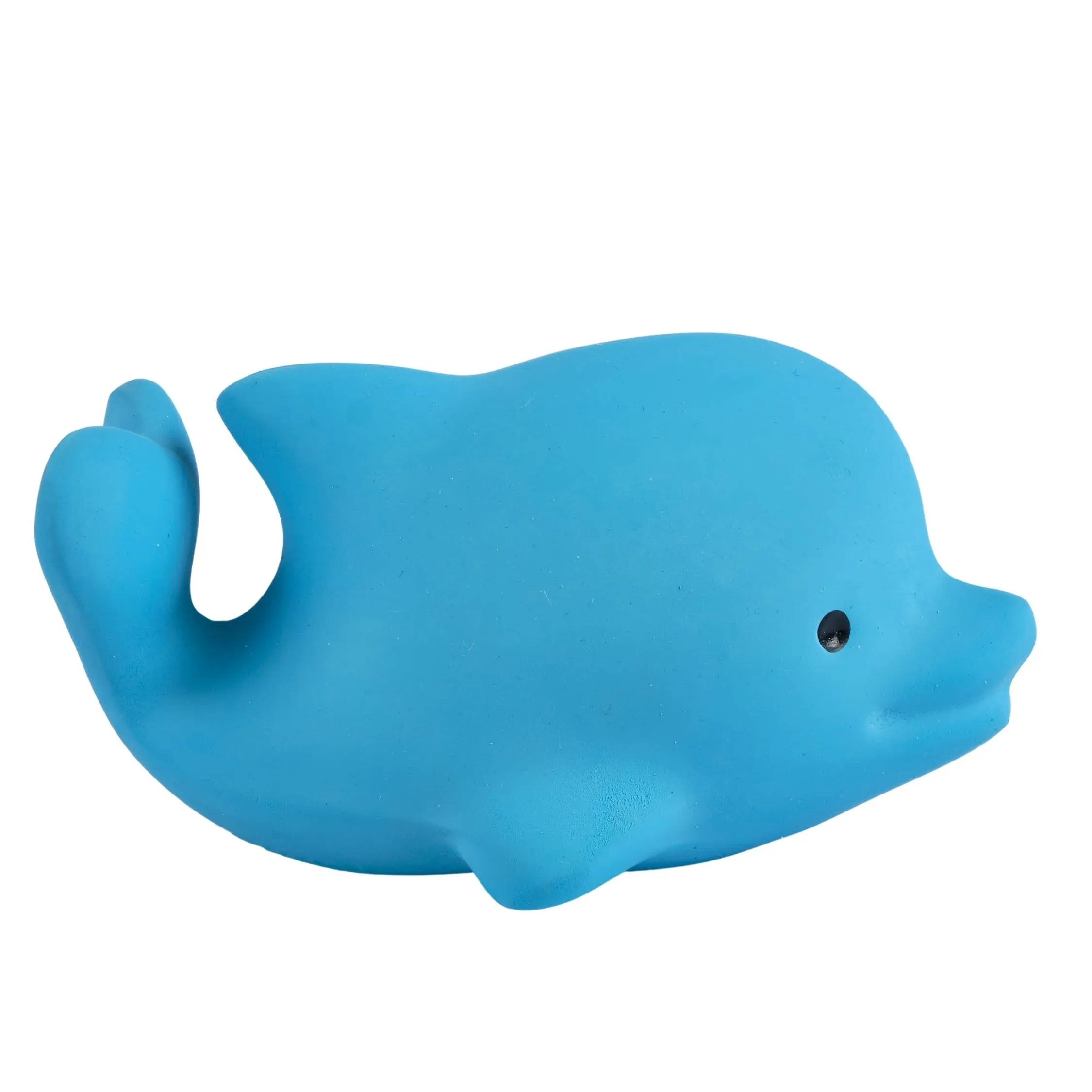 Dolphin - Natural Rubber Baby Teether Rattle & Bath Toy