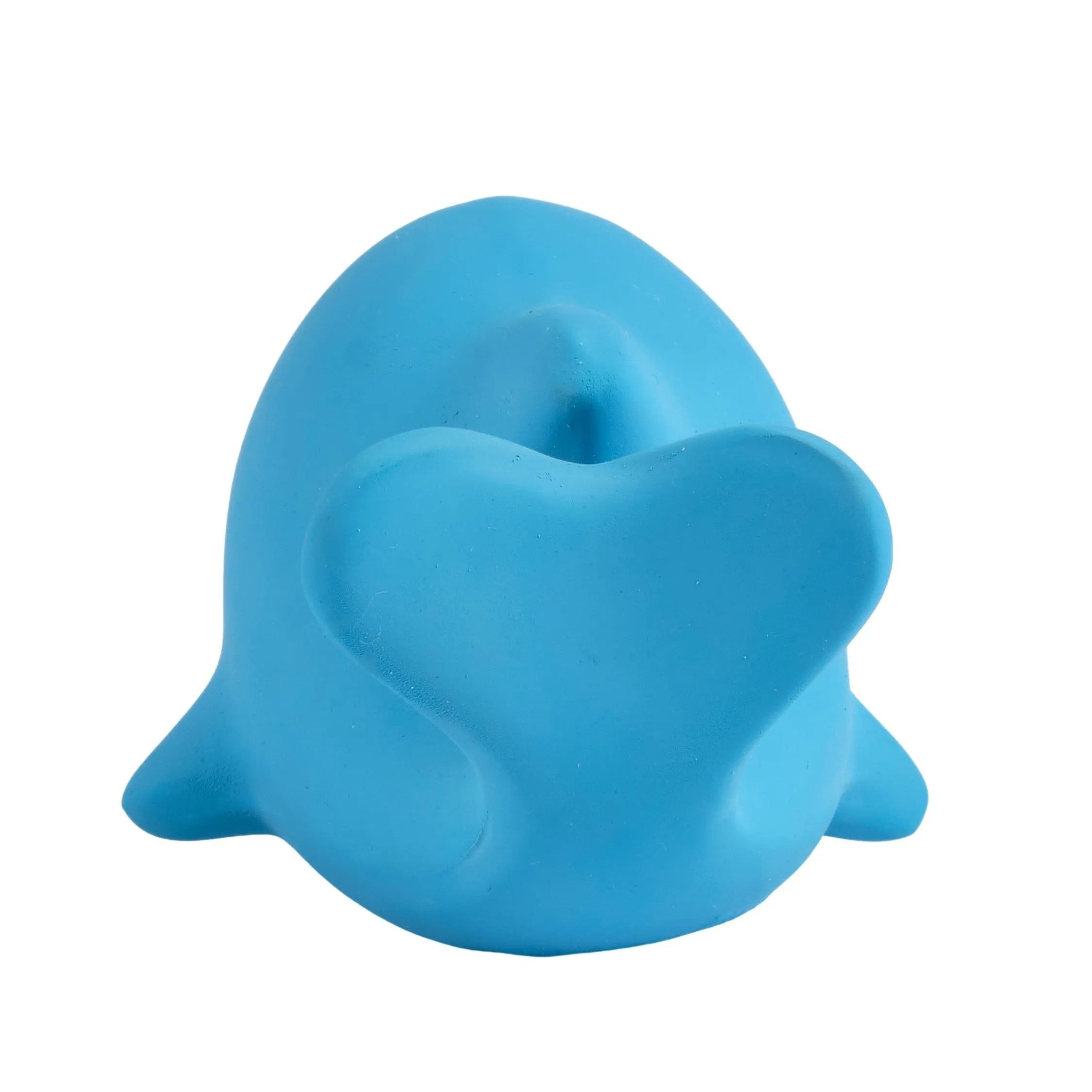 Dolphin - Natural Rubber Baby Teether Rattle & Bath Toy