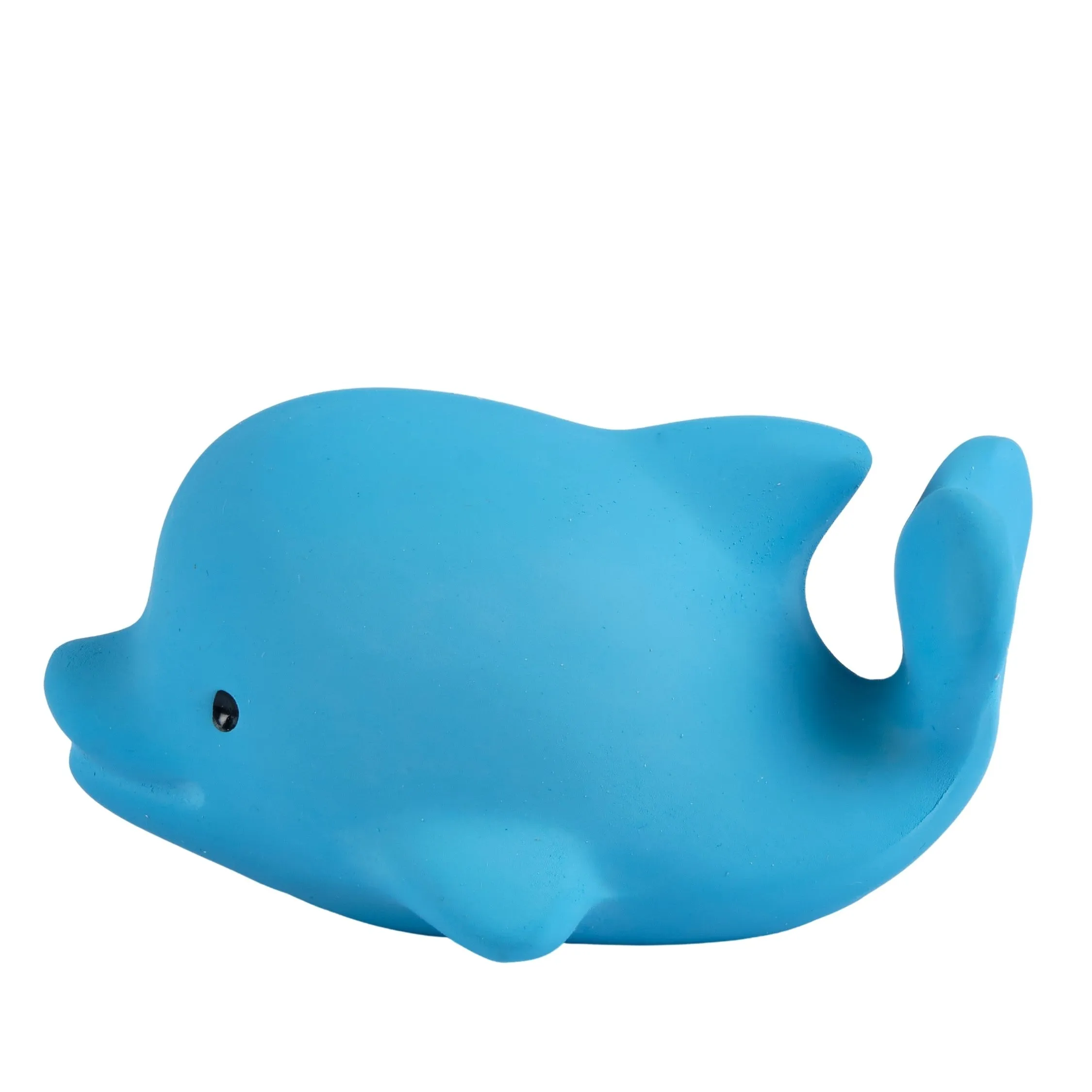 Dolphin - Natural Rubber Baby Teether Rattle & Bath Toy