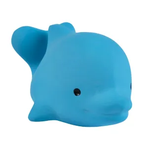 Dolphin - Natural Rubber Baby Teether Rattle & Bath Toy