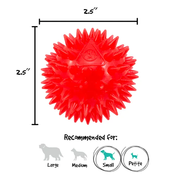 Gnawsome Small Squeak and Light Ball