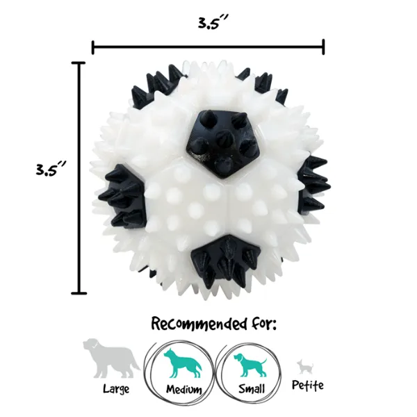 Gnawsome Squeaker Soccer Ball