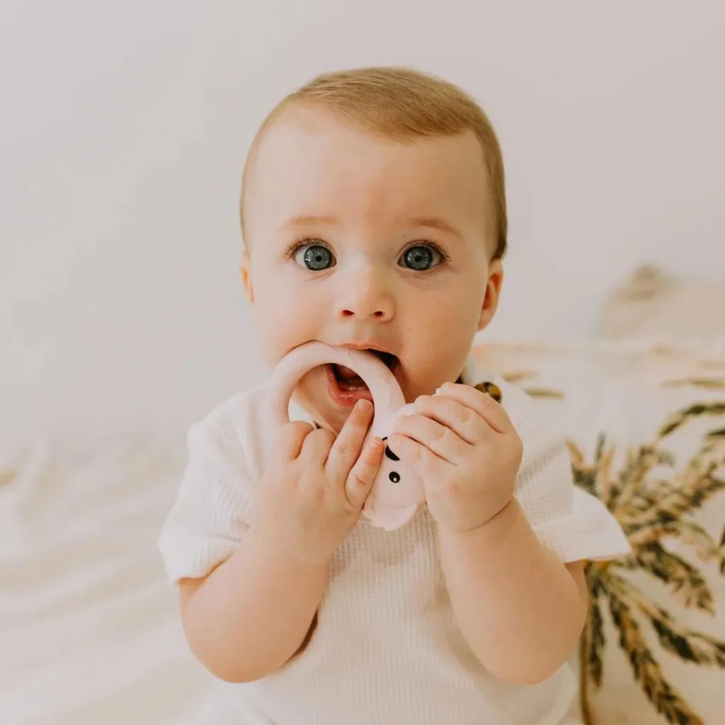 Koala teether