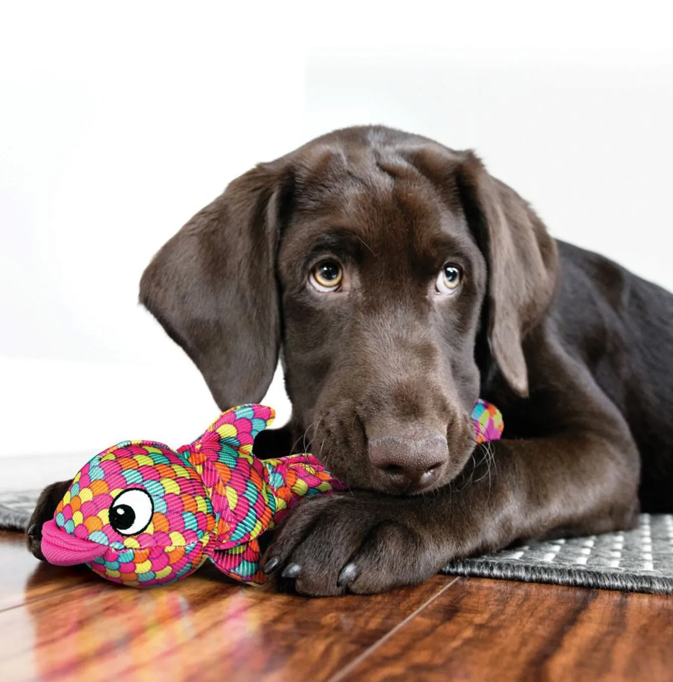 Kong Wubba Finz Fish Dog Toy