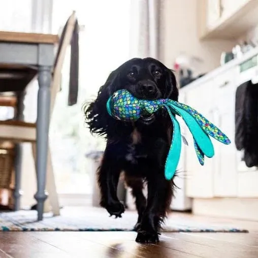 Kong Wubba Finz Fish Dog Toy