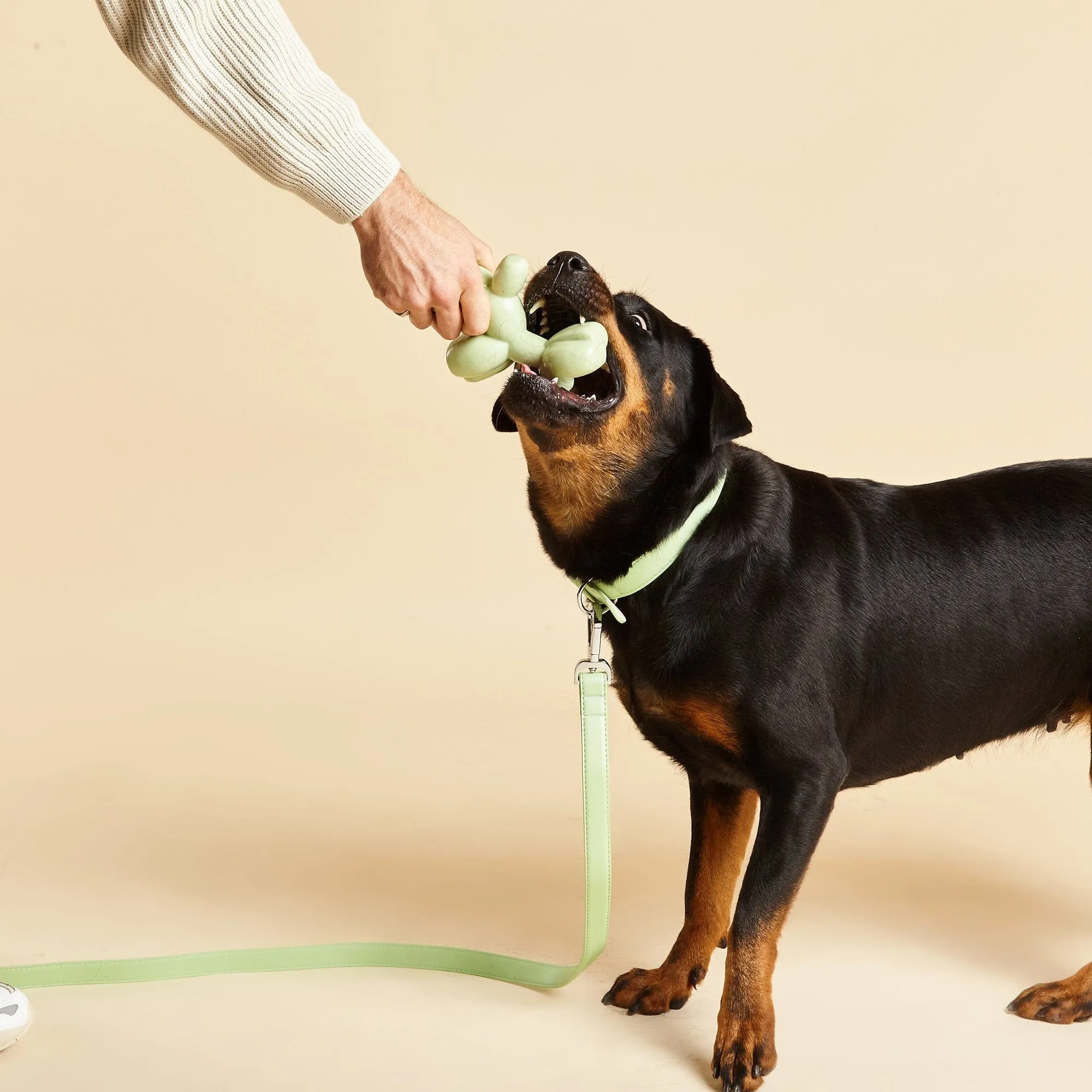 Squeaky TPR Dog Toy | Balloon