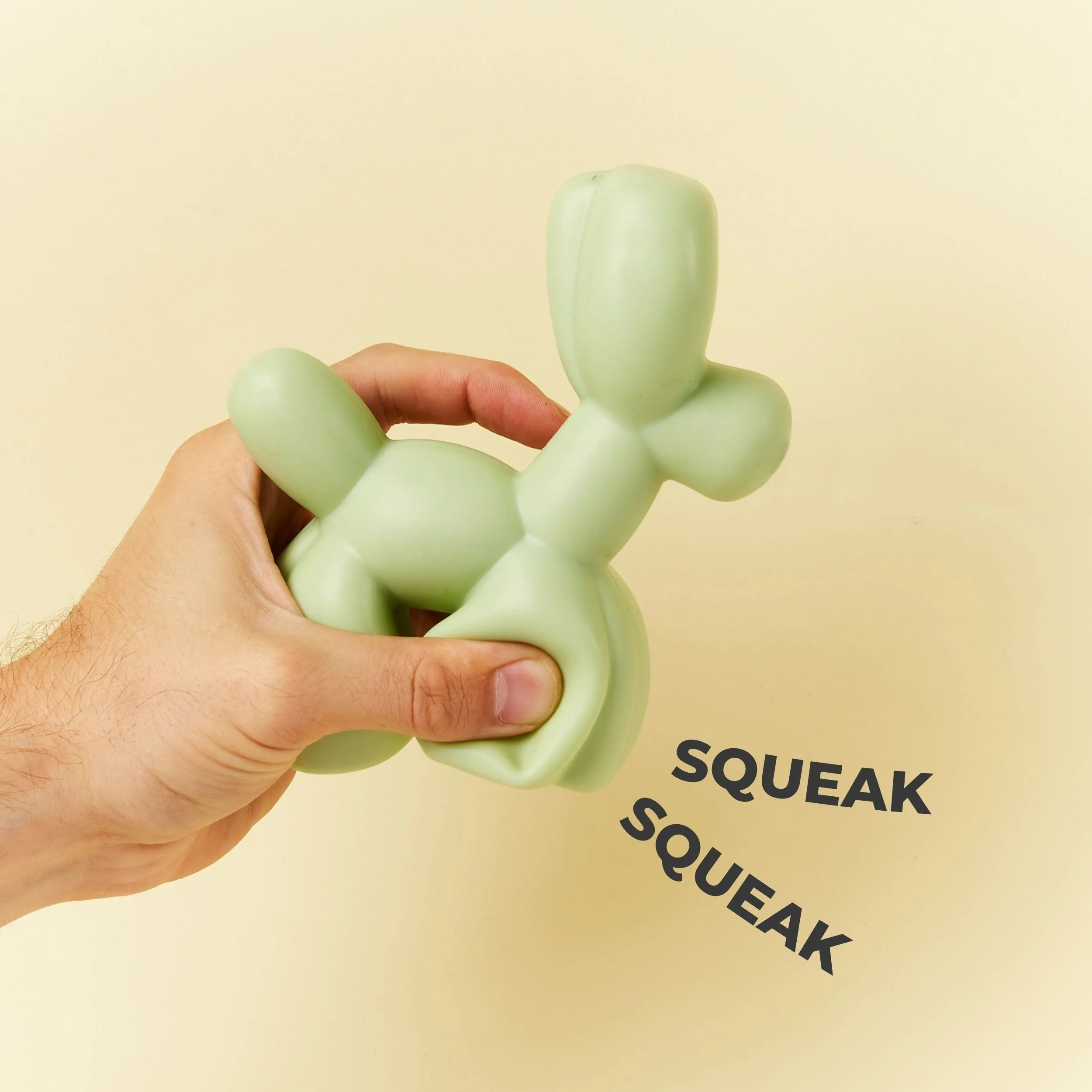 Squeaky TPR Dog Toy | Balloon