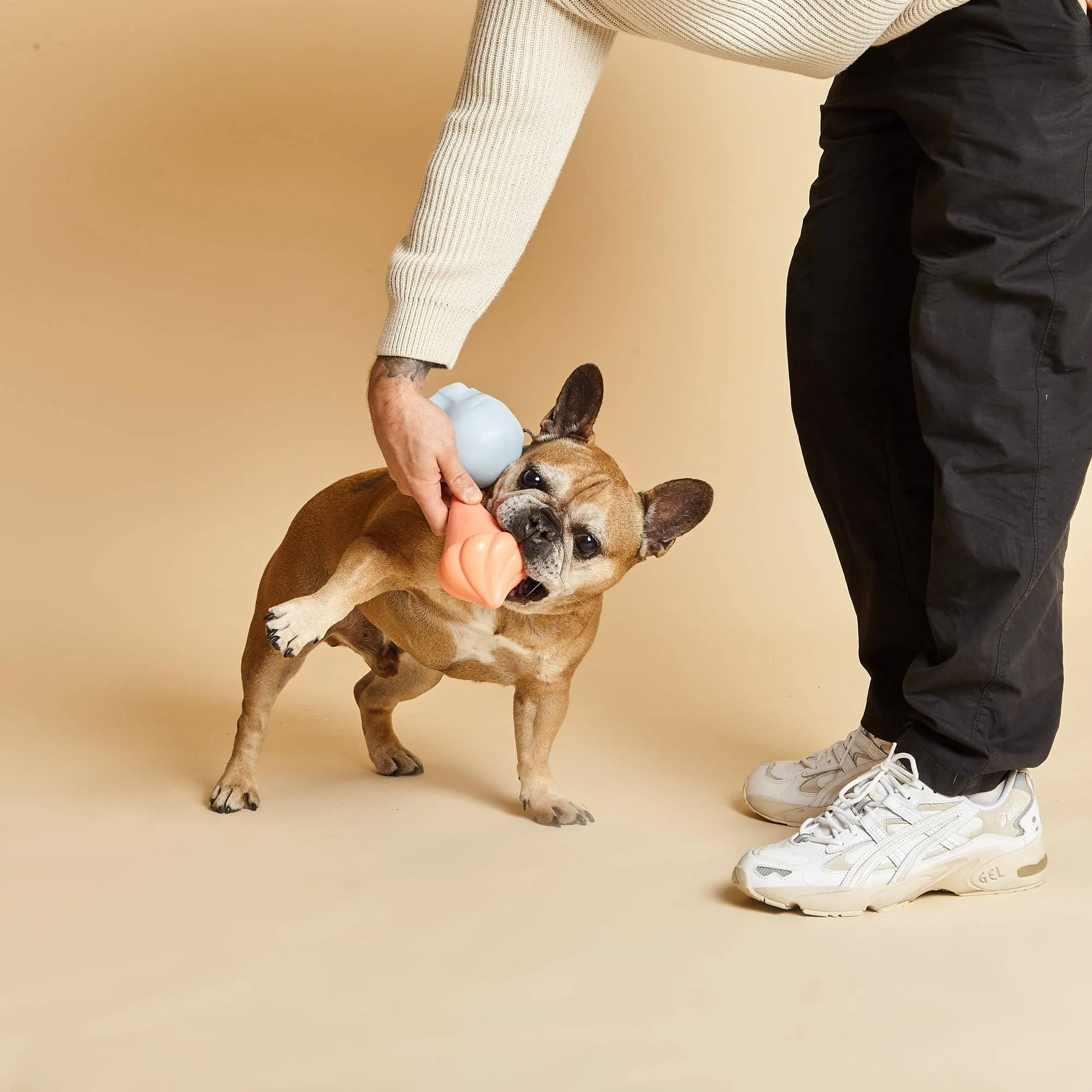 Squeaky TPR Dog Toy | Whippy