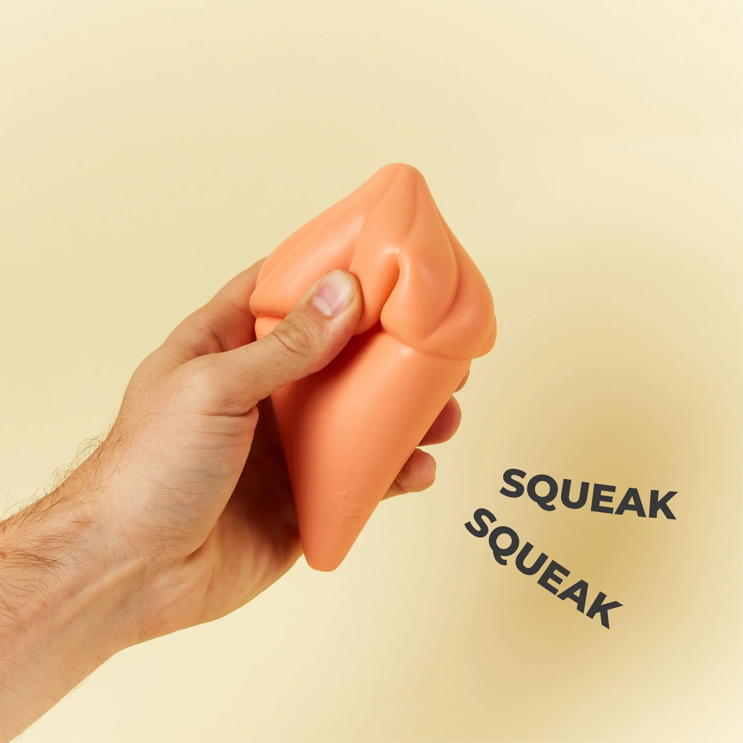 Squeaky TPR Dog Toy | Whippy