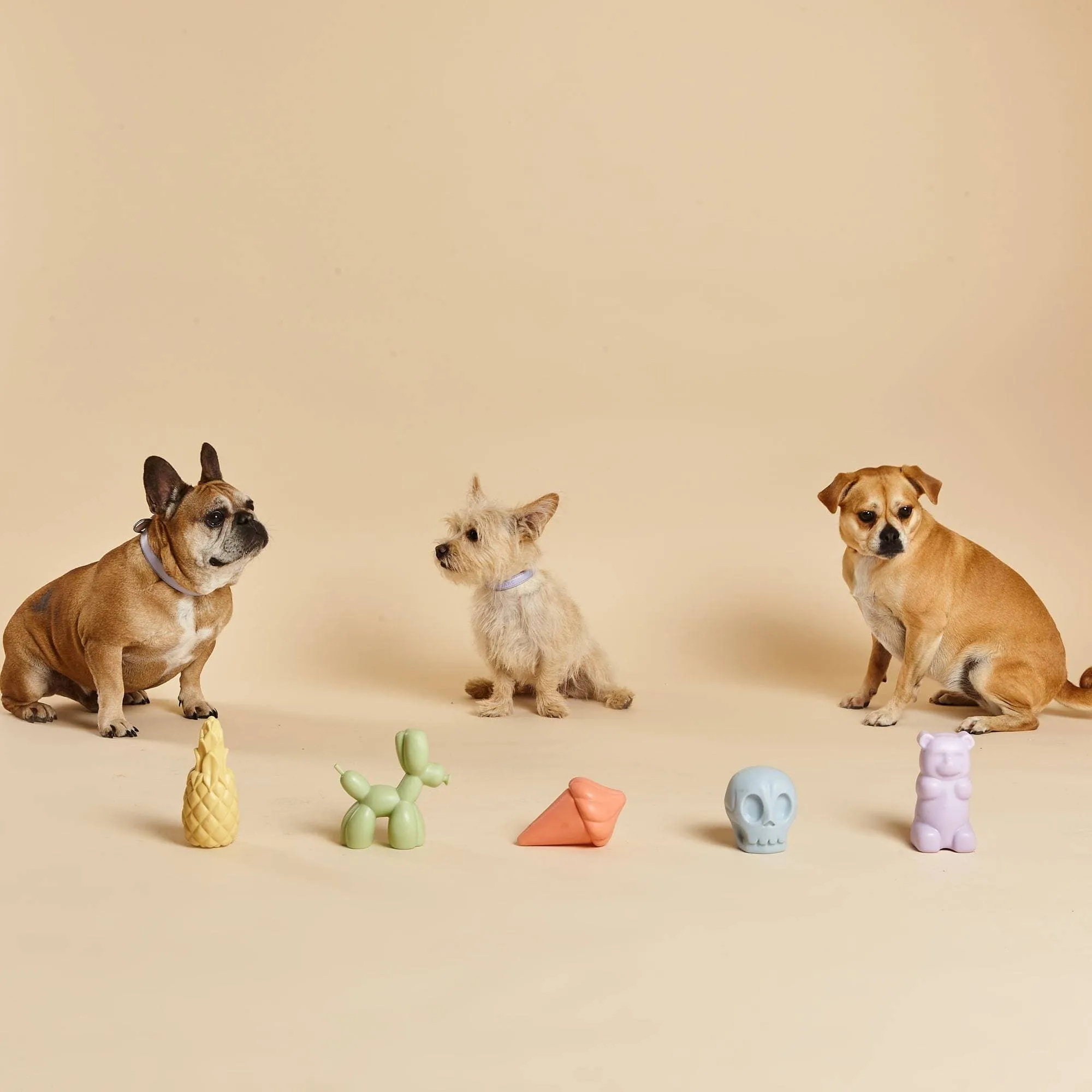 Squeaky TPR Dog Toy | Whippy